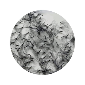 Service OEM d'extensions de cils naturels préfabriqués 12D du Vietnam avec emballage de plateau de beauté Vente en gros - Product Image 6