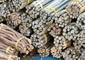 Limpiador de dientes de madera a base de hierbas de higiene bucal multiusos, blanqueamiento orgánico, Fuerza de las encías, aliento fresco, higiene Dental - Product Image 4