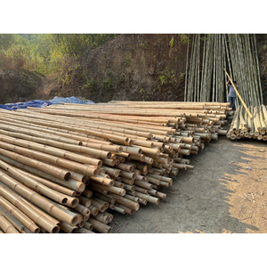 ไม้ไผ่เป็นมิตรกับสิ่งแวดล้อมขายส่ง: เสาเวียดนามที่ทนทานสำหรับการตกแต่งอาคารสีเขียวฟาร์มและบ้าน - Product Image 2