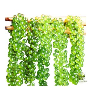 Umidibudos de Alta Calidad, Uvas de Mar Deshidratadas, Caviar Verde, Algas Marinas de Larga Duración, 100% Orgánicas, Saladas, Sin Conservantes, Empaque a Granel - Product Image 4