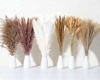 Rumput Pampas Alami DIY Rumput Pampas Dekorasi Asli Seri Rumput Bunga Kering Kantong Plastik Dekorasi Tahun Baru Imlek Paskah