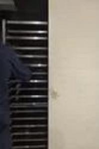 Four industriel multifonctionnel / Sécheuse à plateaux, performances fiables, meilleure qualité en Inde - Product Image 3