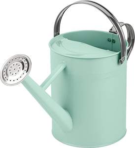 Haute qualité Premium Mini eau peut nouveau Design or outil de jardin sécurité santé métal arrosoir prix de gros - Product Image 5