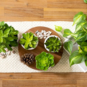 Bandeja básica de madera, portavelas de Pedestal de madera, bandeja de jabón, vajilla multifunción, decoración ecológica para el hogar para escritorios, venta al por mayor - Product Image 6