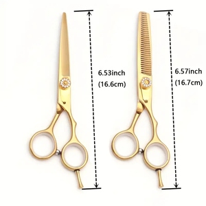 Kit de coiffure ensemble de ciseaux de coiffure ciseaux amincissants et de coupe, acier inoxydable, kit d'outils de coiffure de salon pour stylistes - Product Image 1