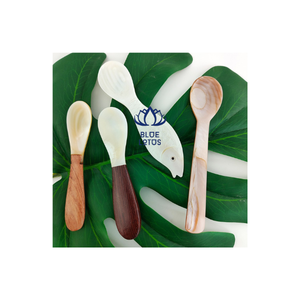 เปลือกหอยหอยสังข์ช้อนช้อนคาเวียร์ราคาที่ดีที่สุดจากเวียดนาม - Product Image 1