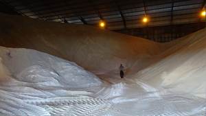 Sucre de canne blanc raffiné icumsa - Product Image 2