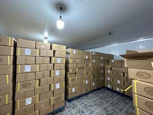 มะม่วงธรรมชาติอบแห้ง - Product Image 6