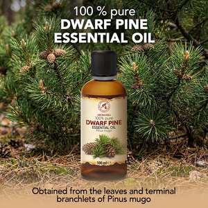 Aromatika Aceite Esencial 100% Puro de Agujas de Pino Enano y Hojas de Pinus Mugo 100ml, Aromaterapia Natural Destilada al Vapor - Product Image 1