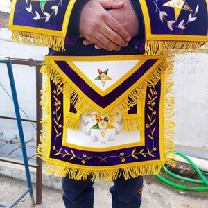 NOUVEAU REGALIA ASSOCIATE PATRON TABLIER BRODÉ À LA MAIN AVEC COL ET MANCHETTES-HSE - Product Image 2