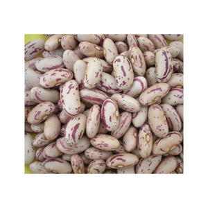 Haricots mouchetés légers/Haricots pinto/Haricots sucriers Prix du sucre rouge chaud Exportateurs Forme longue et sèche - Product Image 6