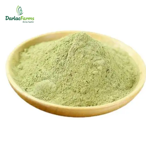 Cosméticos al por mayor 1kg/5Kg/10kg Empaquetado Top Premium FD Process Polvo de aguacate liofilizado para 100% Original de Vietnam - Product Image 1