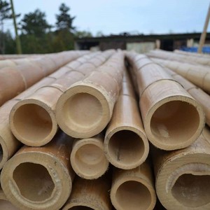 เสาไม้ไผ่ธรรมชาติจากเวียดนามสำหรับการก่อสร้างและเกษตรกรรม - Product Image 3