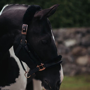 Brida de caballo de cuero de alta calidad en estilo de silla de montar inglés tradicional perfecta para montar al aire libre, salto de doma y diario - Product Image 6