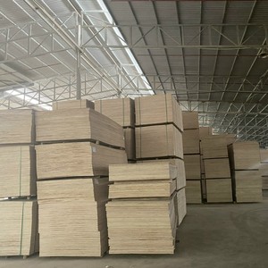 Panneau en contreplaqué Bintangor de qualité supérieure, surface lisse, pour meubles, armoires, menuiserie intérieure, matériau durable, service de logo personnalisé - Product Image 6