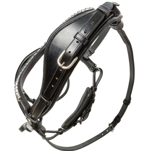 La brida está hecha de cuero de alta calidad. Esta brida tiene un aspecto particularmente elegante debido a la menor cantidad de correas si lo desea. - Product Image 3