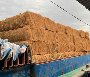Empresa de Exportación de Fibra de Coco Confiable en Vietnam que Suministra Materiales Ecológicos para Industrias Globales - Product Image 4