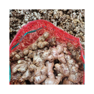 Precio de fábrica 100% verduras deshidratadas naturales secas en rodajas/jengibre entero a granel - Product Image 1