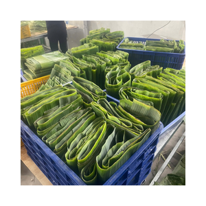 Hojas de Plátano Premium Lavadas y Clasificadas para Contacto Higiénico con Alimentos, Proveedor Directo - Product Image 1