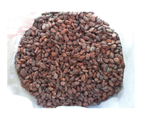 Granos de Cacao Premium de Vietnam para Compradores Mayoristas - Granos de Cacao Fermentados Secados al Sol para Procesamiento de Confitería