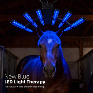 Équipement équin de luminothérapie rouge SunPlus <span class=keywords><strong>Solarium</strong></span>, lampe à infrarouge rouge LED pour chevaux, <span class=keywords><strong>appareil</strong></span> de luminothérapie pour le corps entier - Product Image 3