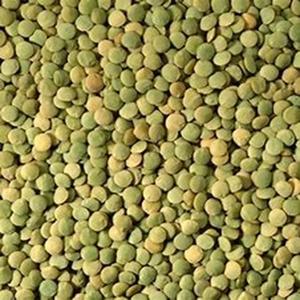 Top Grade Organic of Green <b>lentils</b> Available at Affordable Prices - Product Image 4
