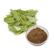 Polvo de Hoja de Senna Natural al por Mayor, Extracto de Grado Alimenticio, Suplemento Herbal, Sennosides de Cultivo Silvestre, Producto a Granel, Muestra Gratuita - Product Image 2