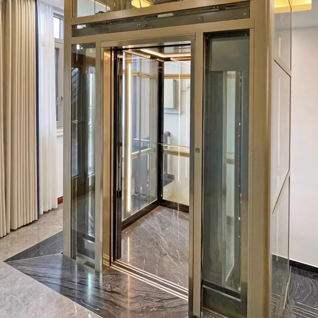 Custom Elevator for 2-4 Floors Hydraulic Passenger Gearless Traction Machine Automatic Glass Door for Small