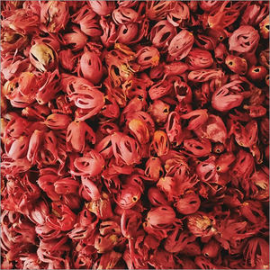 Flor de maza cruda seca de alta calidad, hierba india con sabor aromático cálido, cantidad a granel, exportador que vende un solo producto de hierba de especias - Product Image 5