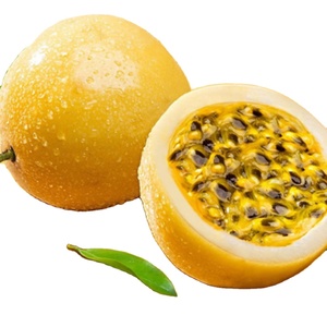 EXPORTATION DE JUS DE FRUITS TROPICAUX AVEC JUS DE FRUITS DE PASSION BON PRIX ET HAUTE QUALITÉ - Product Image 1