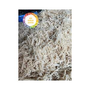ALGAS SECAS EUCHEUMA COTTONII CALIDAD PREMIUM MUSGO DE MAR SECADO AL SOL DE VIETNAM PARA USO DE PROCESAMIENTO DE CARRAGEENAN - Product Image 1