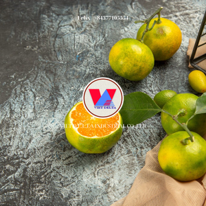 น้ำ Kumquat แช่แข็งตามธรรมชาติ/ความสมดุลของเปรี้ยวหวาน/พร้อมใช้งานสำหรับสายเครื่องดื่มออร์แกนิกและการใช้งาน OEM - Product Image 5