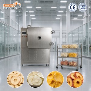 Machine de lyophilisation en acier inoxydable avec contrôle PLC pour fruits, pommes, poires, coings et nectarines - Product Image 1