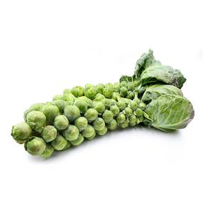 Choux de Bruxelles de qualité exportée, frais récoltés de la ferme - Product Image 5