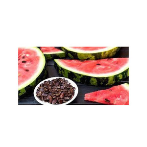 Graines d'Egusi séchées au soleil Graines de melon blanc jaune frais Snacks de graines de pastèque crues Style frit Emballé en vrac à vendre - Product Image 5