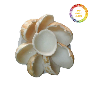 Viande de noix de coco du Vietnam congelée, fraîche, saine et en vrac | Prêt pour les smoothies et la cuisson - Product Image 4