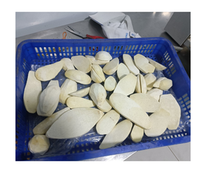 Usine en vrac du Vietnam de cubes de taro congelés IQF Vente en gros de boule de tapioca de taro pelé blanc Fournisseur OEM d'exportation dans le monde entier - Product Image 4