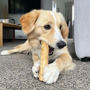 Juguete masticable de madera de café Natural de Venta caliente para perros Dientes seguros y limpios Origen Vietnam - Product Image 3