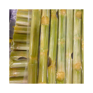 Palitos de caña de azúcar congelados Premium frescos y naturales de Vietnam categoría de vegetales - Product Image 1