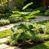 Plante Artificielle Pothos Cœur Jaune, 18 Tiges, Décoration Végétale Artificielle pour Maison, Bureau, Mariage