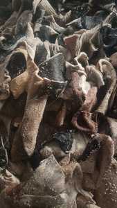 Recortes de piel de vaca de alta calidad, restos de corte de cuero crudo para extracción de gelatina, reprocesamiento, piel dividida procesada de grado de exportación - Product Image 3