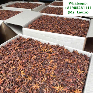 Otoño/primavera alta calidad estrella anís sola especia hierba precio barato de Vietnam - Product Image 4