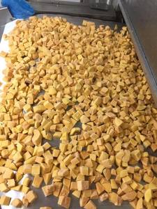 HOT SELLING Frozen Mango 2025 Vietnam IQF High Quality Sweet Tropical Fruit Sustainable Available Export Best Price - Product Image 6