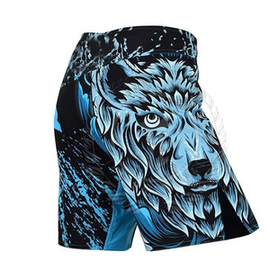 <b>For</b> <b>Sale</b> Made in Pakistan Customized Colors Men's MMA Shorts Breathable Quick Dry Light <b>Weight</b> Spandex/Polyester - Product Image 2