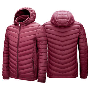 Manteau d'hiver brillant de Style High Street pour hommes meilleure qualité veste en duvet bouffante personnalisée col à capuche tissu tissé Promotion de la qualité - Product Image 3