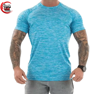 Camiseta de Lona 100% Poliéster para Hombre, Corte Regular, Secado Rápido, Manga Larga/Corta, Estampado Personalizado, Diseño Liso, Venta al Por Mayor - Product Image 1