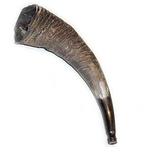 แก้วมักทำจากเขาไวกิ้งโบราณทำด้วยมือสำหรับใส่เครื่องดื่มจากอินเดียส่งออกสำหรับเทศกาลคริสต์มาส - Product Image 1