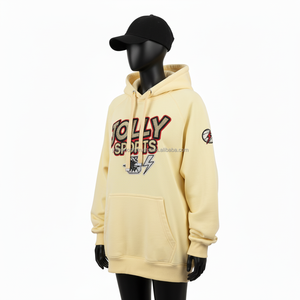 Sweat à capuche surdimensionné pour femme Coton Polaire Doux Vêtements d'hiver Manches raglan Chenille Broderie LogoCustom Design basiques pour femmes Hoodies - Product Image 4