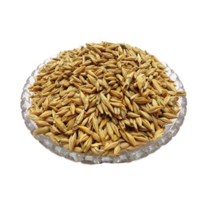Semillas de Cebada Natural de Grado Alimenticio para Hornear, Cereales a Granel, Suministro de Cebada para Cocinar, Semillas de Cereales de Cebada - Product Image 5