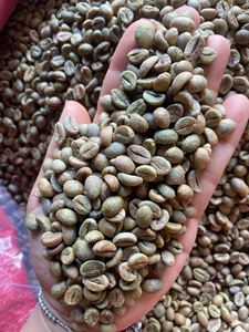 Marca privada de alta calidad Arábica Robusta Blend Espresso granos de café enteros tostados brasileños S18 S16 S14 granos de café en bolsa - Product Image 6